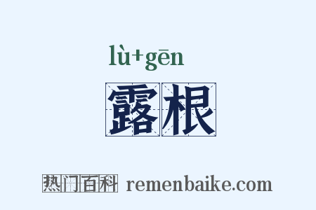 露根是什么意思的图片